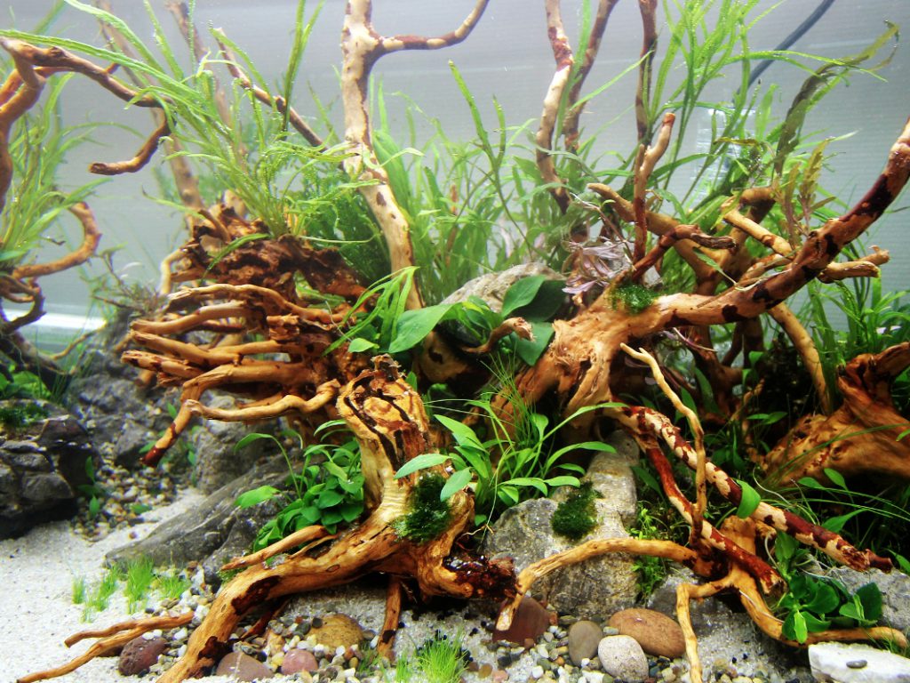 Tropica substrat 2,5l pour plante aquatique - Materiel-aquatique