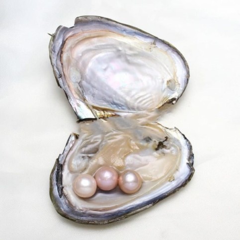 Comment les huîtres fabriquent-elles des perles ?